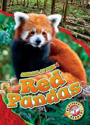 Red Pandas by Grack, Rachel
