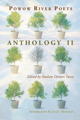 The Powow River Poets Anthology II by Turco, Paulette DeMers