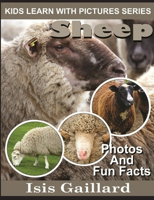 Sheep: Photos and Fun Facts for Kids by Gaillard, Isis