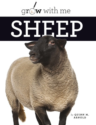 Sheep by Arnold, Quinn M.
