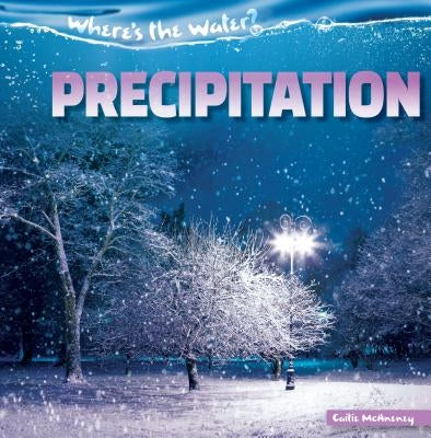 Precipitation by McAneney, Caitie
