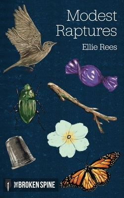 Modest Raptures: Poems by Parry, Alan