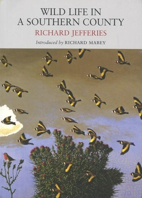 Wild Life in a Southern County by Jefferies, Richard