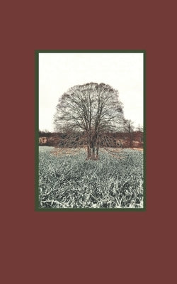 Goat Shape Hole: poems by Thomas, Jeffrey Owen