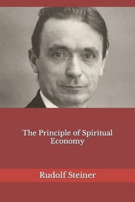 The Principle of Spiritual Economy by Amrine, Frederick
