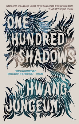 One Hundred Shadows by Jungeun, Hwang