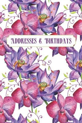 Addresses & Birthdays: Watercolor Purple Orchids by Press, Andante