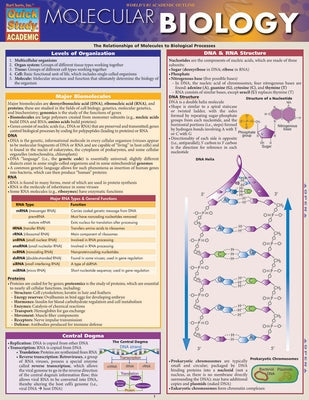 Molecular Biology by Brooks, Randy
