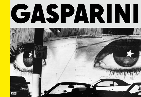 Paolo Gasparini: Field of Images by Gasparini, Paolo