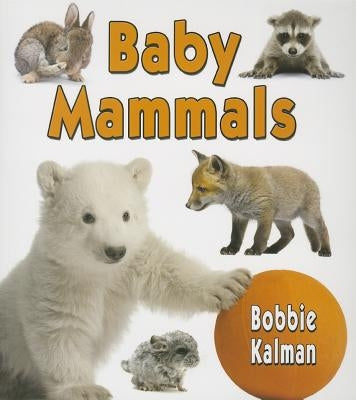 Baby Mammals by Kalman, Bobbie