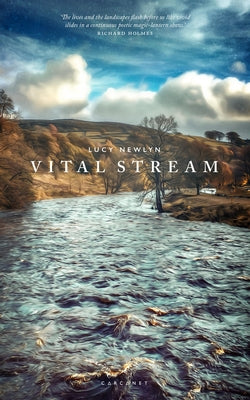 Vital Stream by Holmes, Richard