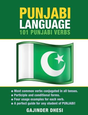 Punjabi Language: 101 Punjabi Verbs by Dhesi, Gajinder