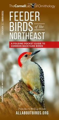 Feeder Birds of the Northeast: A Folding Pocket Guide to Common Backyard Birds by Waterford Press
