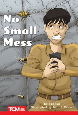 No Small Mess by Braun, Eric