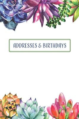 Addresses & Birthdays: Watercolor Succulents by Press, Andante