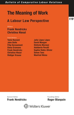 The Meaning of Work: A Labour Law Perspective by Hiessl, Christina