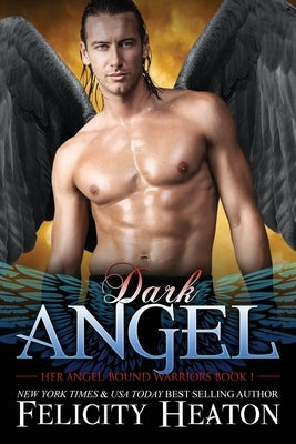 Dark Angel by Heaton, Felicity