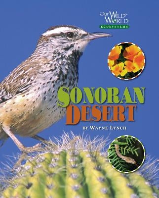 Sonoran Desert by Lynch, Wayne