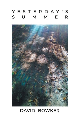 Yesterday's Summer by Bowker, David
