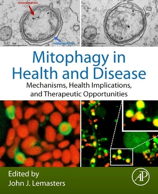 Mitophagy in Health and Disease: Mechanisms, Health Implications, and Therapeutic Opportunities by Lemasters, John J.