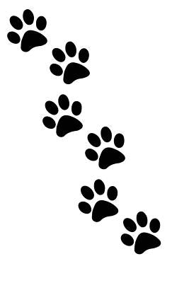Paw Print Tracks: For Animal Lovers by Merchandise, Midwest