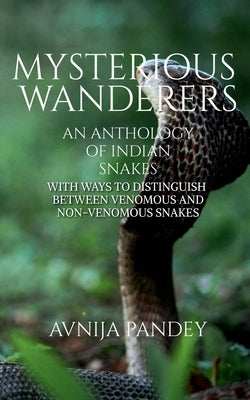 Mysterious Wanderers by Pandey, Avnija