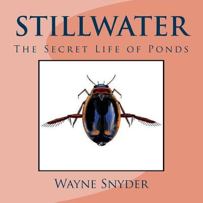 Stillwater: The Secret Life of Ponds by Snyder, Wayne