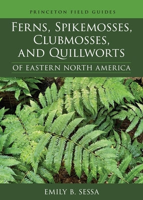 Ferns, Spikemosses, Clubmosses, and Quillworts of Eastern North America by Sessa, Emily B.