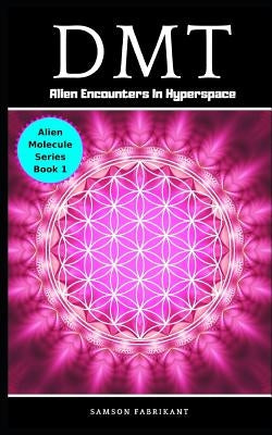 Dmt: Alien Encounters In Hyperspace by Fabrikant, Samson