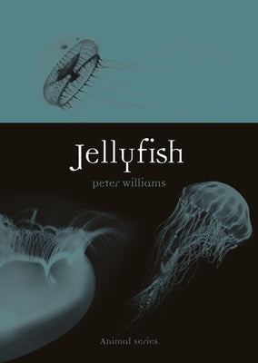 Jellyfish by Williams, Peter