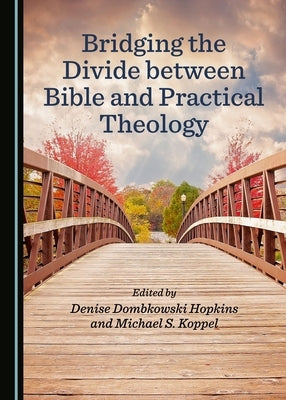 Bridging the Divide Between Bible and Practical Theology by Hopkins, Denise Dombkowski