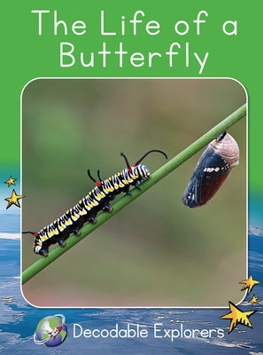 The Life of a Butterfly: Fluency Launch by Holden, Pam
