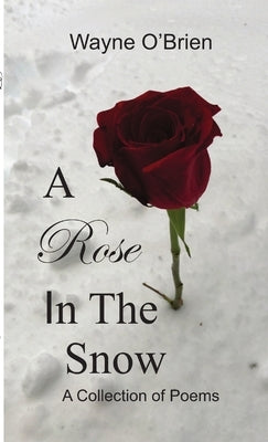 A Rose In The Snow by O'Brien, Wayne
