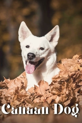 Canaan Dog: Dog breed overview and guide by Pustova, Nina