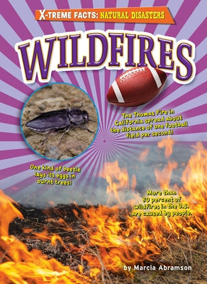 Wildfires by Abramson, Marcia