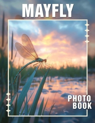 Mayfly Photo Book: Stunning Photography Capturing The Lifecycle Of Beautiful Insects And Nature's Wonders by Pearce, Sapphire