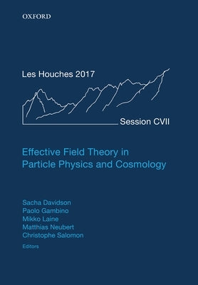 Effective Field Theory in Particle Physics and Cosmology: Lecture Notes of the Les Houches Summer School: Volume 108, July 2017 by Davidson, Sacha