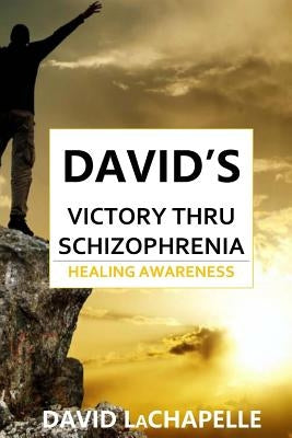David's Victory Thru Schizophrenia: Healing Awareness by LaChapelle, David