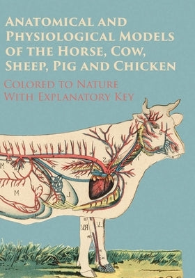 Anatomical and Physiological Models of the Horse, Cow, Sheep, Pig and Chicken - Colored to Nature - With Explanatory Key by Anon