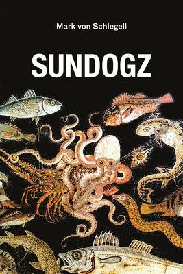 Sundogz by Von Schlegell, Mark