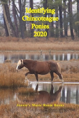 Identifying Chincoteague Ponies 2020 by Aguilera, Gina