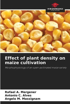 Effect of plant density on maize cultivation by Mergener, Rafael A.