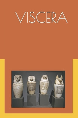 The Viscera: Ancient Egyptian Internal Medicine by Hamada, Alaaeldin