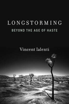 Longstorming: Beyond the Age of Haste by Ialenti, Vincent