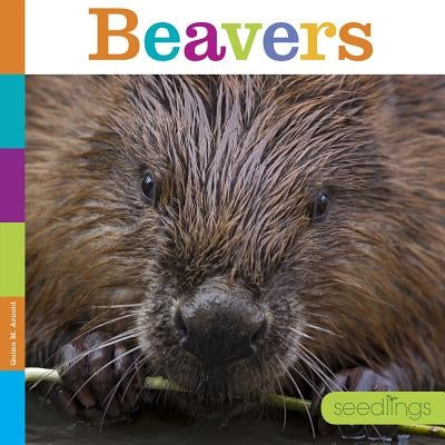 Beavers by Arnold, Quinn M.