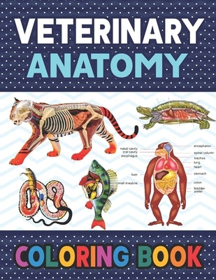 Veterinary Anatomy Coloring Book: Learn The Veterinary Anatomy With Fun & Easy. Animal Anatomy and Veterinary Physiology Coloring Book. Dog Cat Horse by Publication, Darkeylone