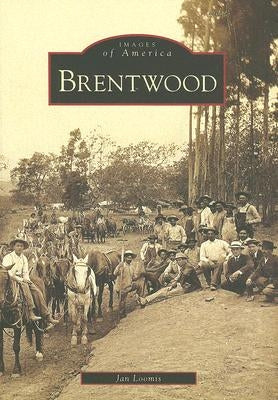 Brentwood by Loomis, Jan