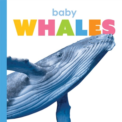 Baby Whales by Riggs, Kate
