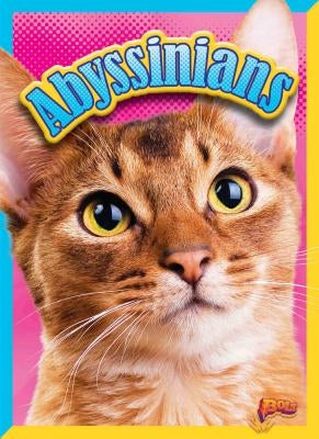 Abyssinians by Clausen-Grace, Nicki