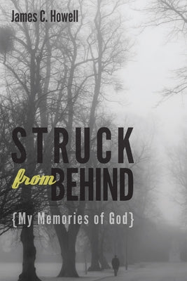 Struck from Behind: My Memories of God by Howell, James C.